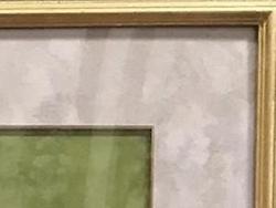 レビュータイトル